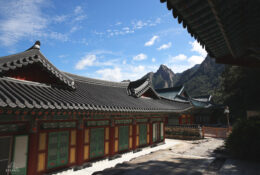 South_Korea (13/70)